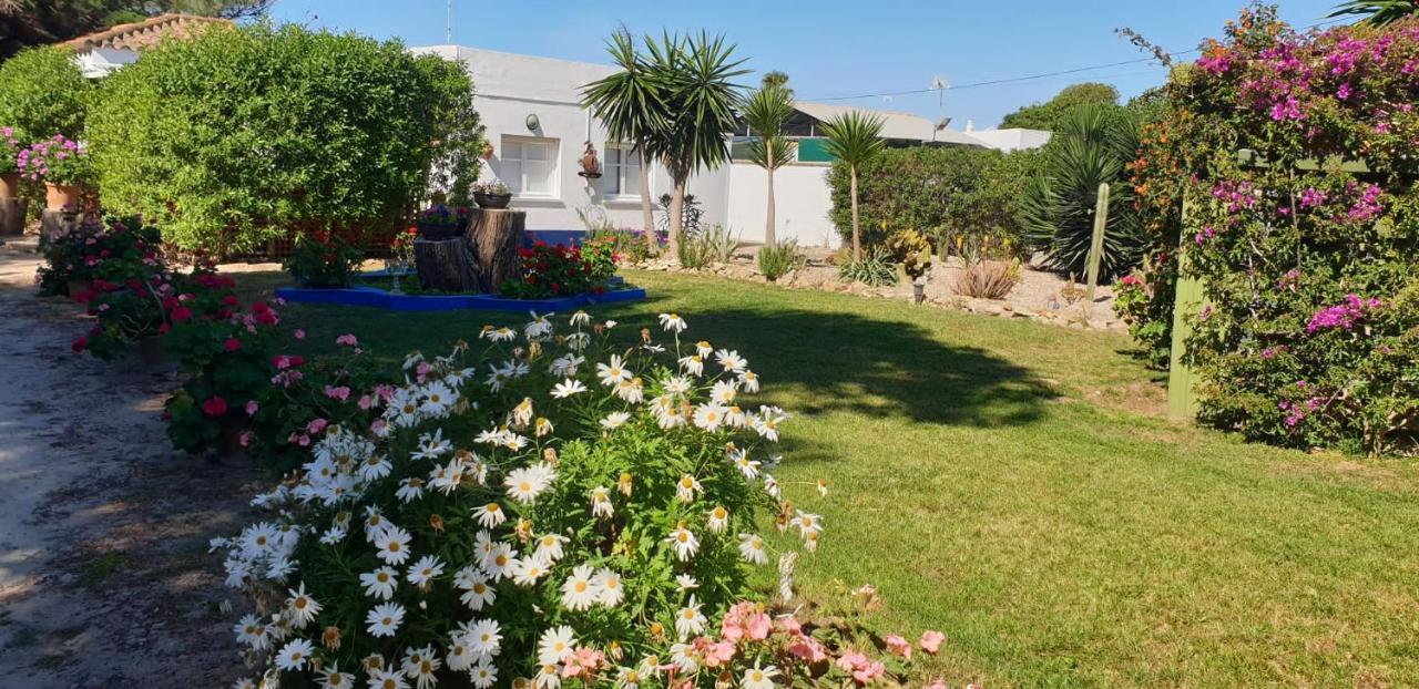 Finca Las Dunas Con Dos Chalets Con Jacuzzis En Primera Linea De Playa Uno De 4 Dormitorios Y Otro De 2 Dormitorios Rota Exterior foto