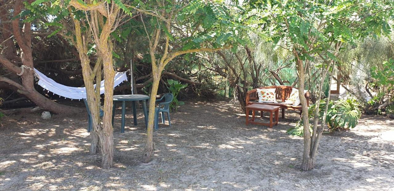 Finca Las Dunas Con Dos Chalets Con Jacuzzis En Primera Linea De Playa Uno De 4 Dormitorios Y Otro De 2 Dormitorios Rota Exterior foto