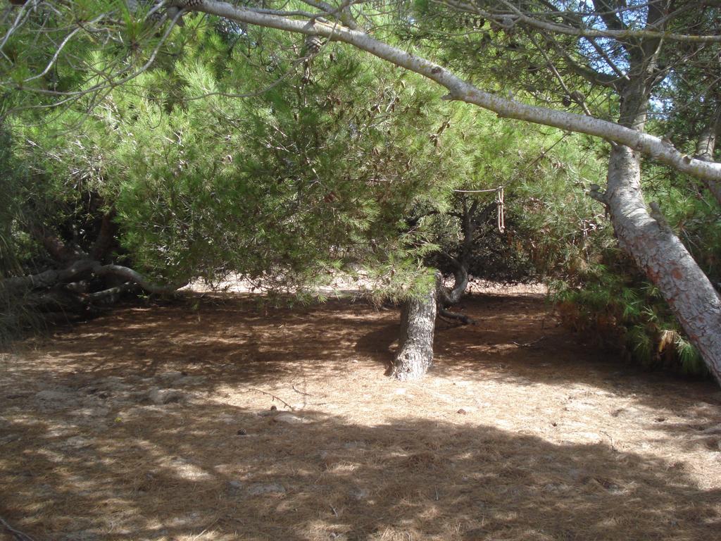 Finca Las Dunas Con Dos Chalets Con Jacuzzis En Primera Linea De Playa Uno De 4 Dormitorios Y Otro De 2 Dormitorios Rota Quarto foto