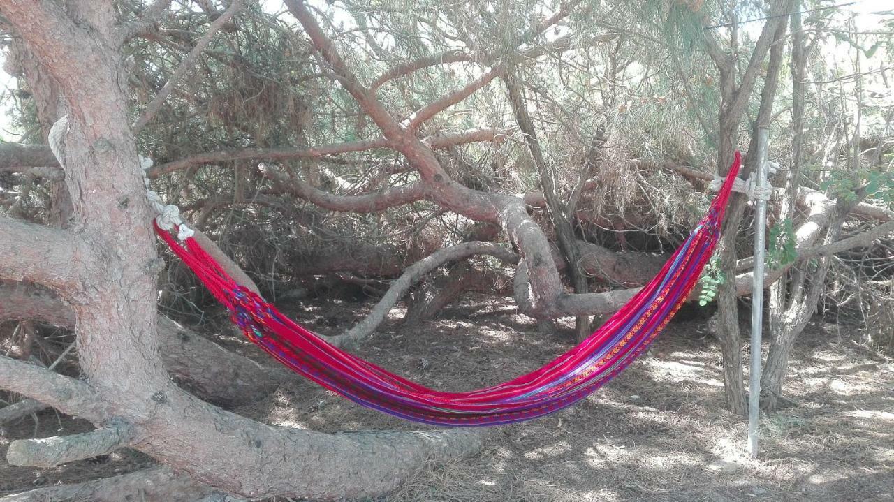 Finca Las Dunas Con Dos Chalets Con Jacuzzis En Primera Linea De Playa Uno De 4 Dormitorios Y Otro De 2 Dormitorios Rota Exterior foto